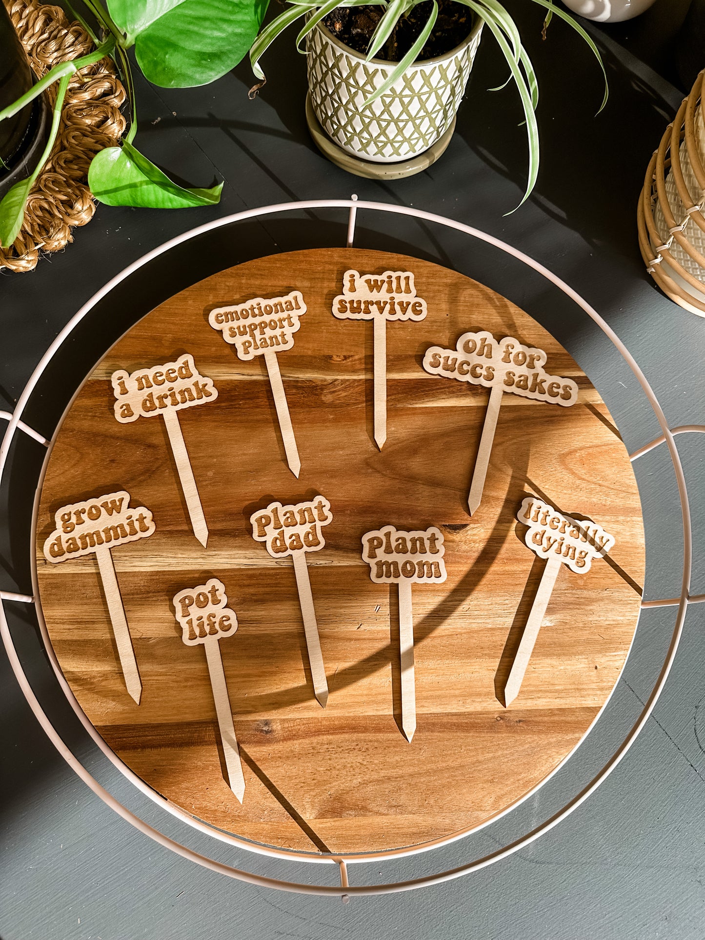 Retro Plant Markers