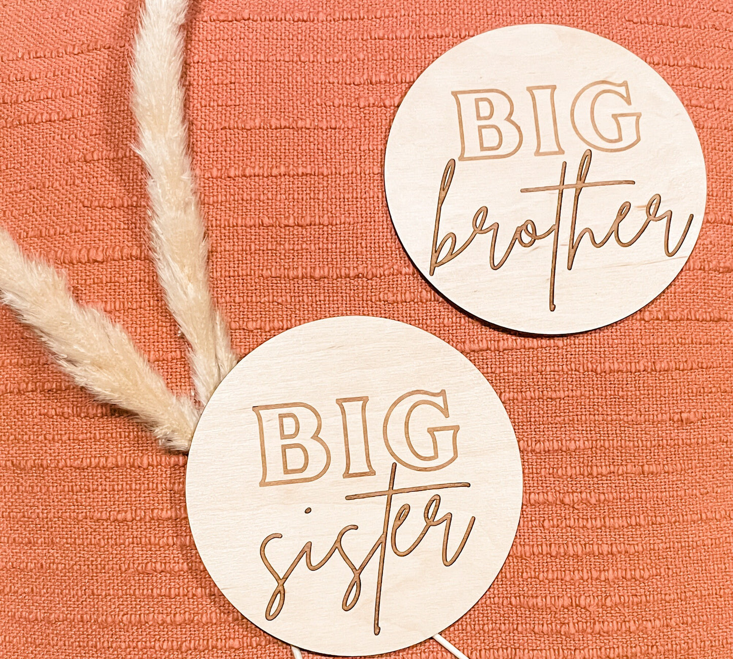 Big Brother Big Sister Sibling Announcement Sign