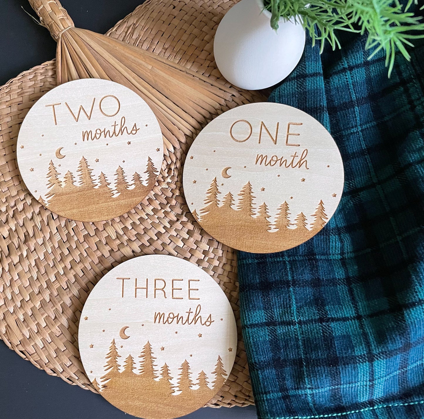 Woodland Monthly Monthly Milestone Discs