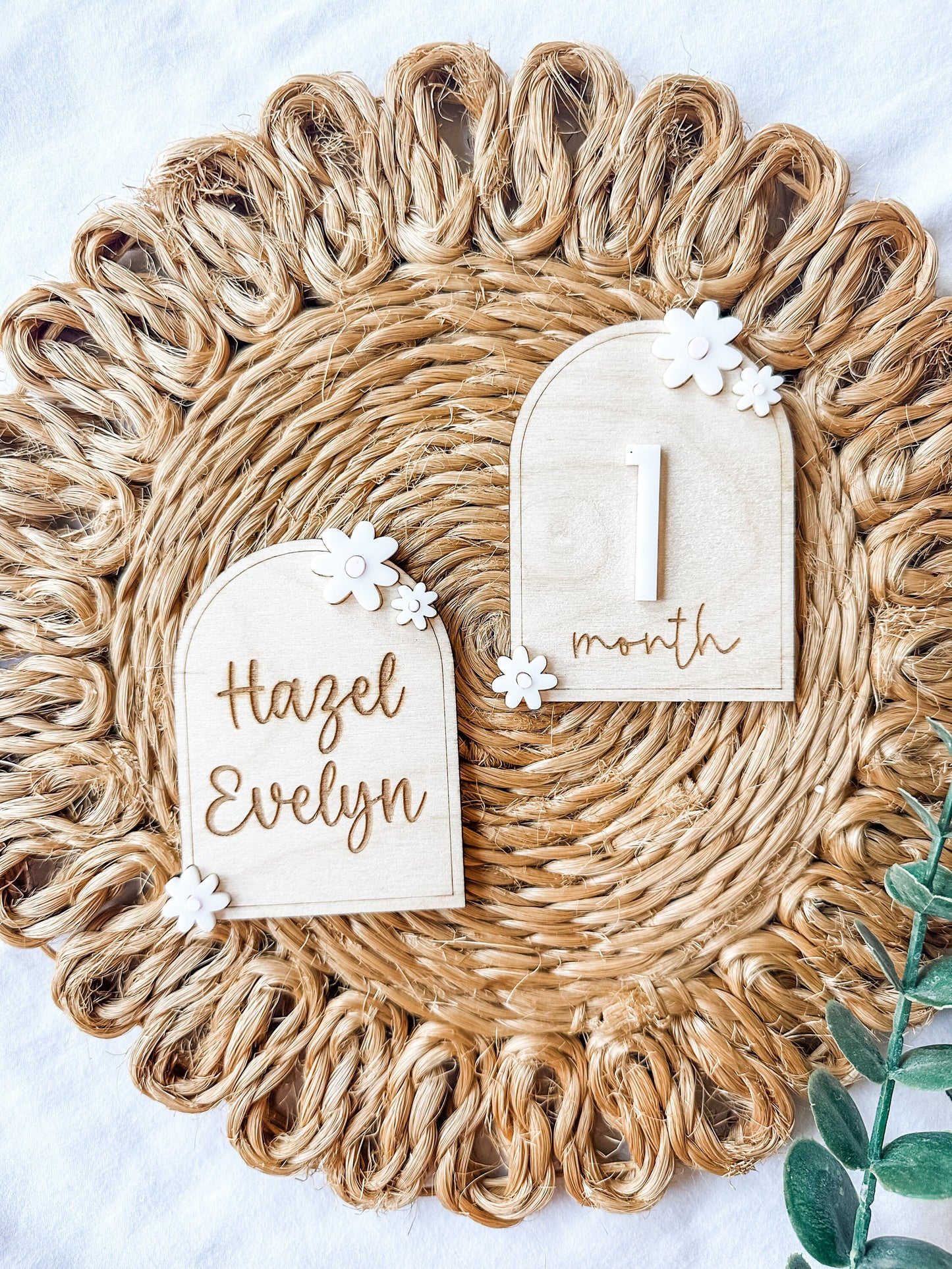Daisy Monthly Milestone Interchangeable Markers