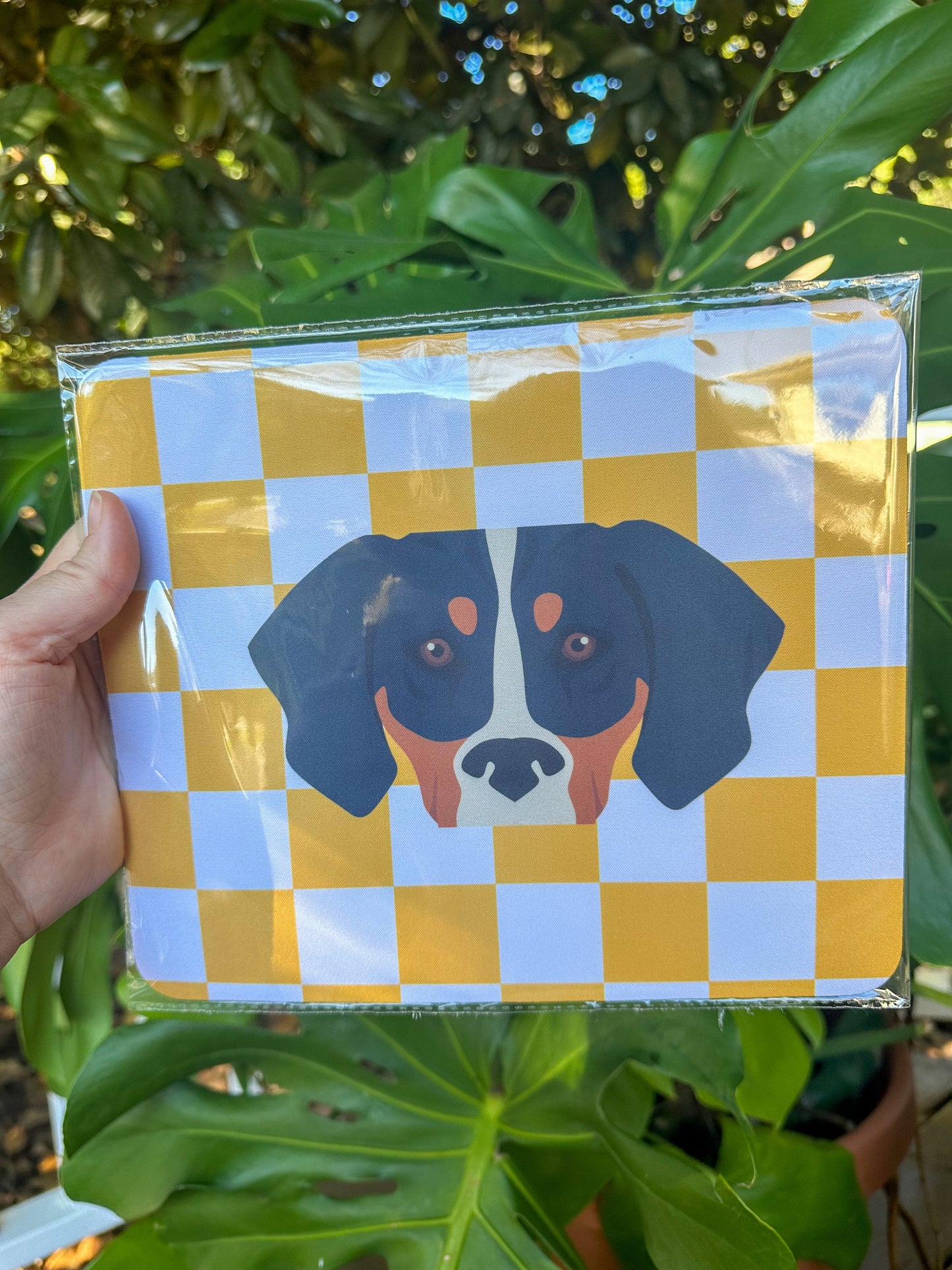 Mousepad