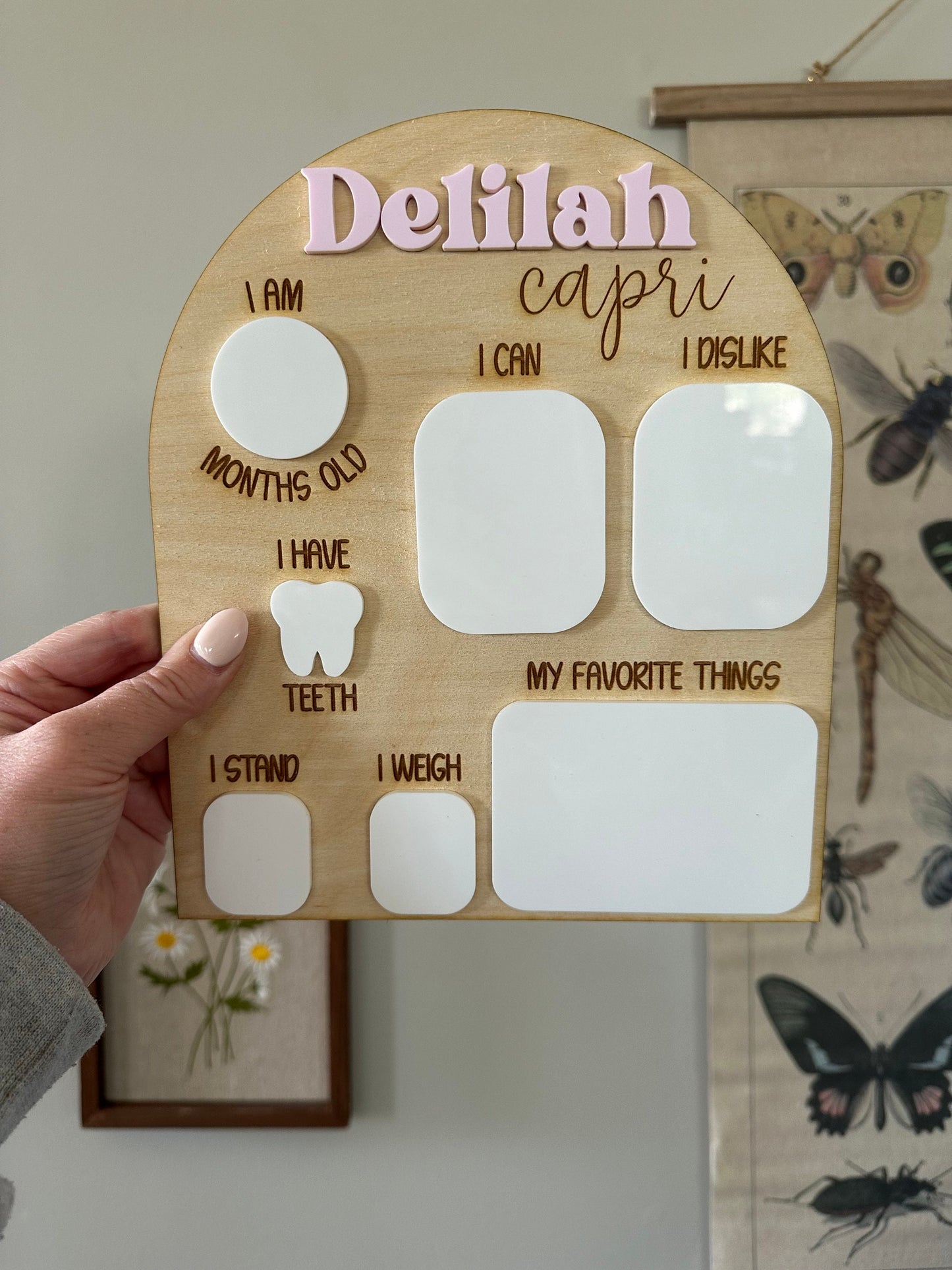 Baby Monthly Milestone Dry Erase Board
