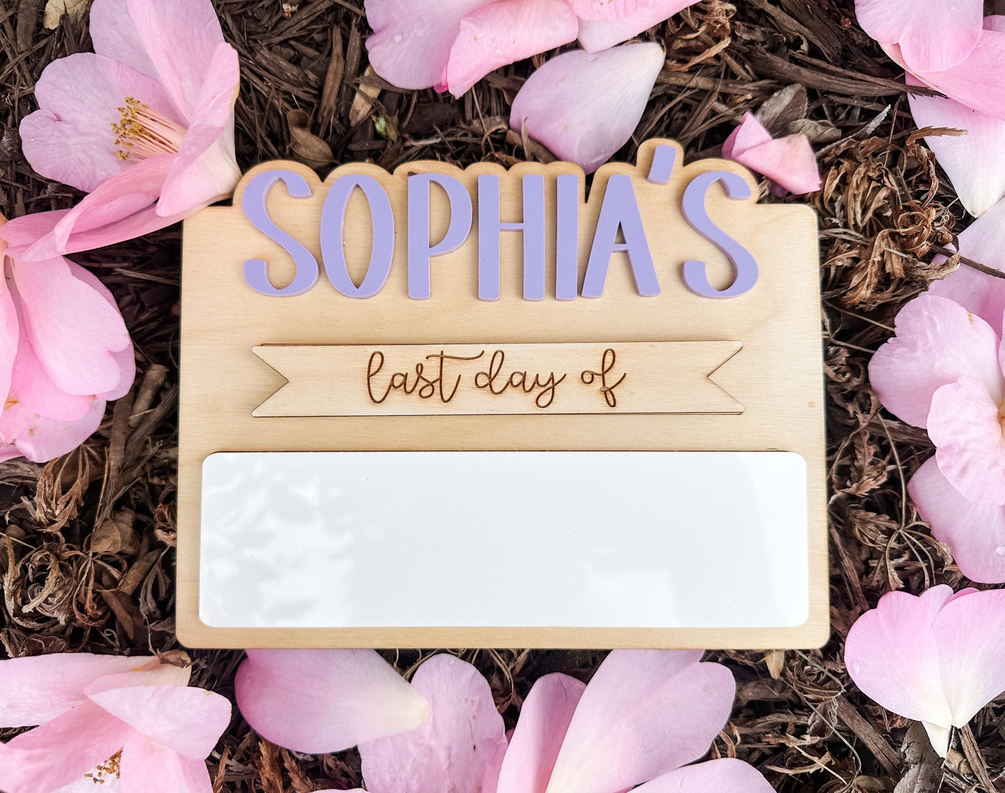Custom Back to School Mini Sign