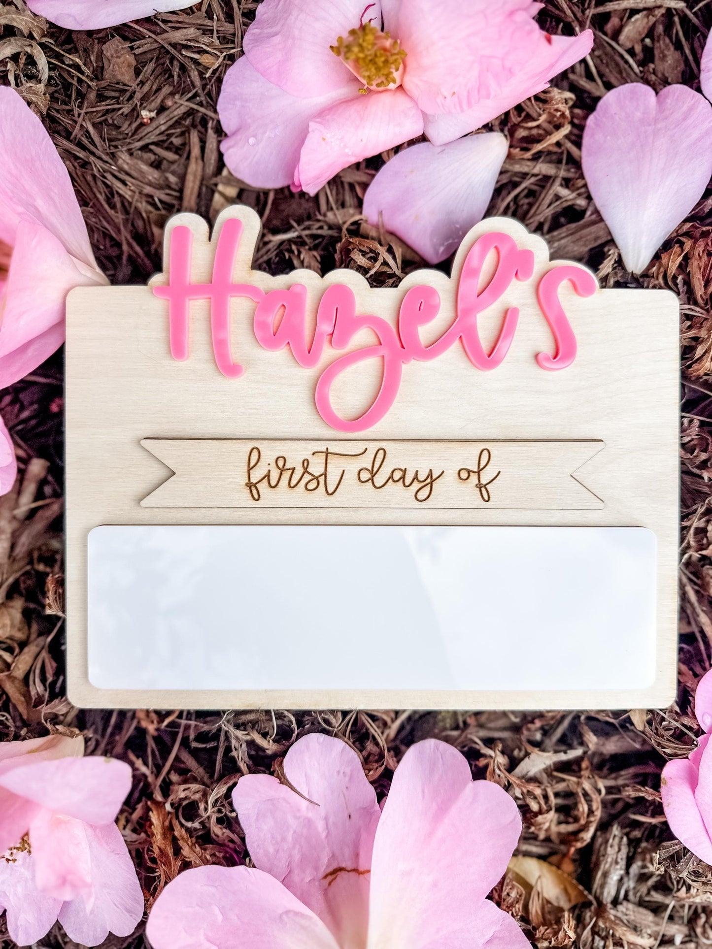 Custom Back to School Mini Sign
