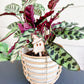 Spooky Halloween Plant Stakes