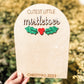 Mistletoes Craft  Baby's First Christmas
