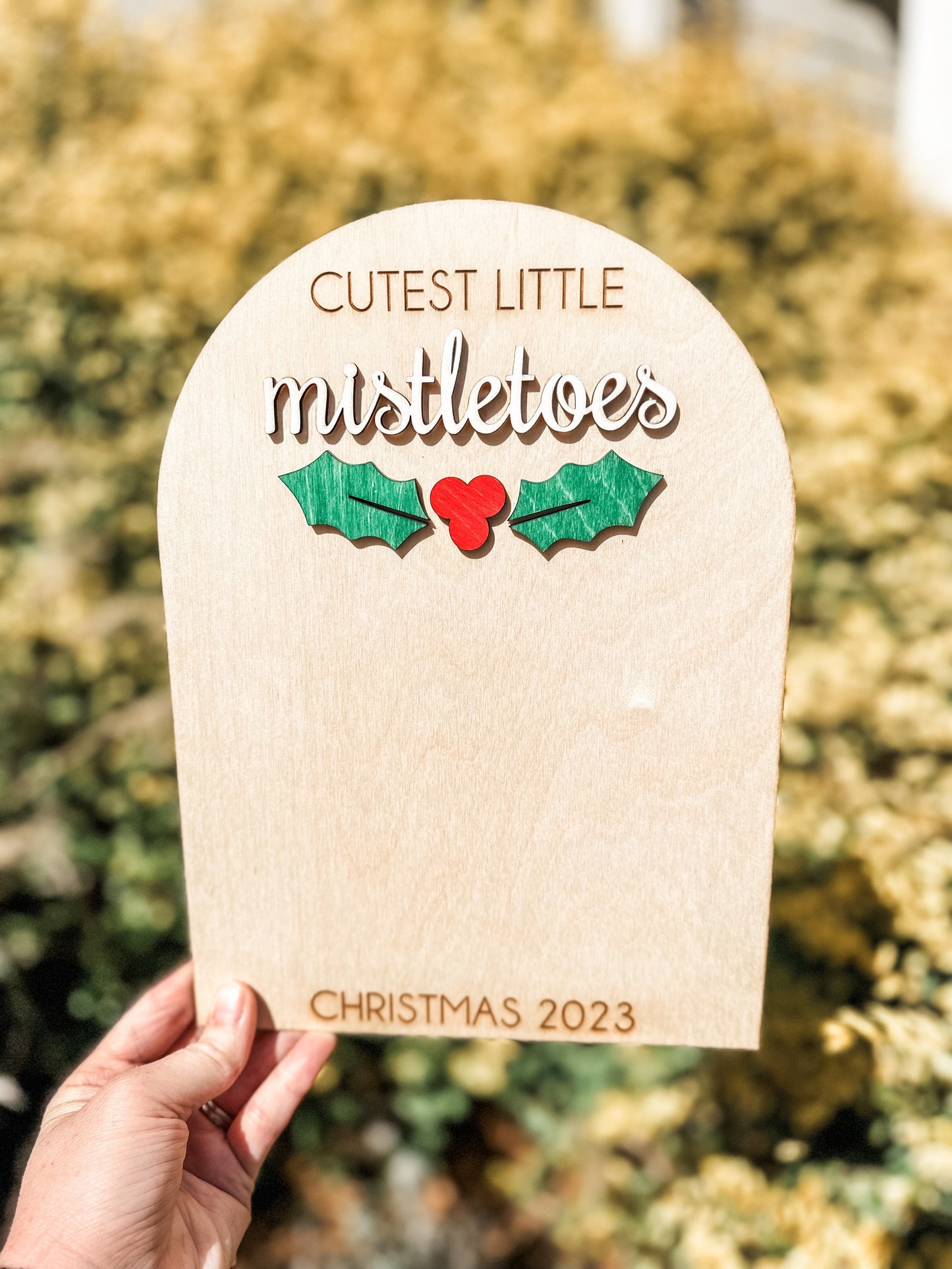 Mistletoes Craft  Baby's First Christmas