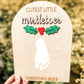 Mistletoes Craft  Baby's First Christmas