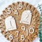 Daisy Monthly Milestone Interchangeable Markers