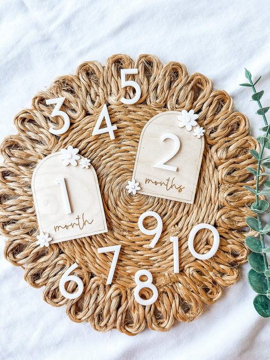 Daisy Monthly Milestone Interchangeable Markers