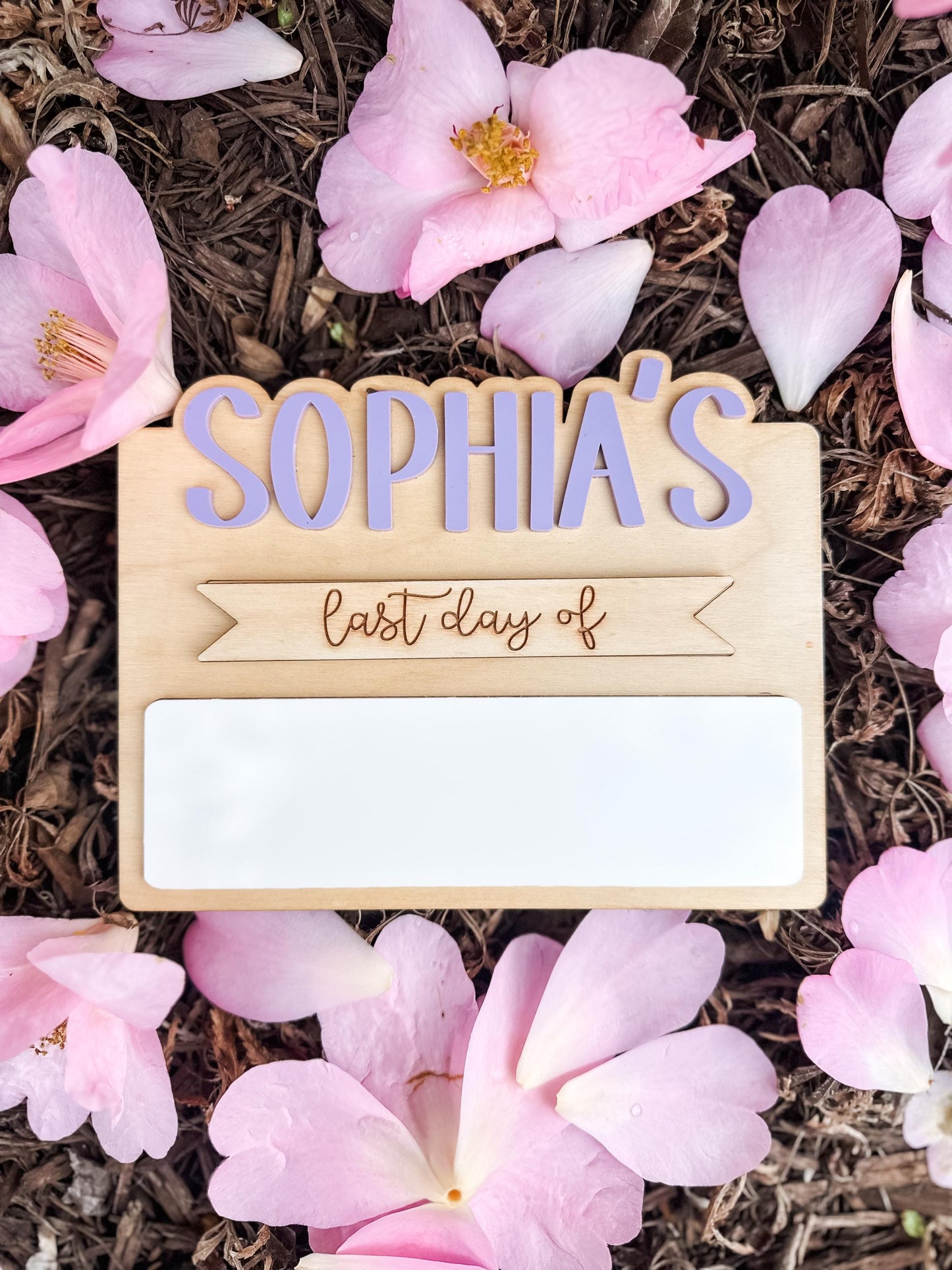 Custom Back to School Mini Sign