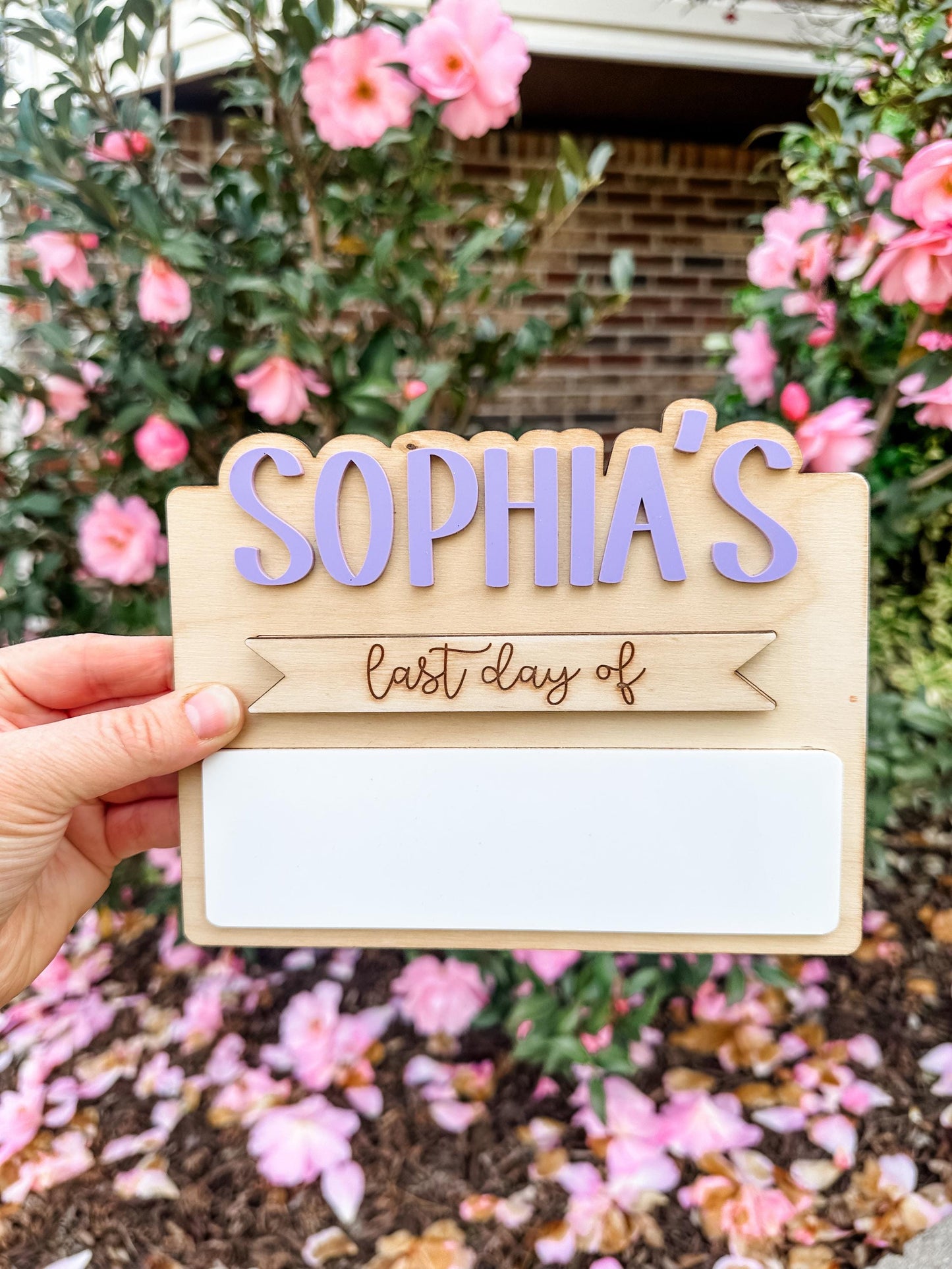Custom Back to School Mini Sign