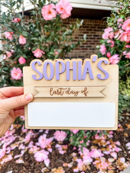 Custom Back to School Mini Sign